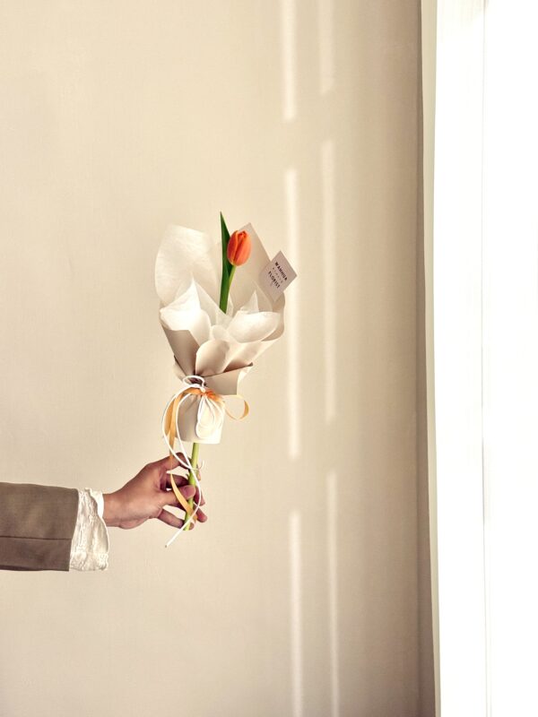 鮮花-單支鬱金香花束/5色可選