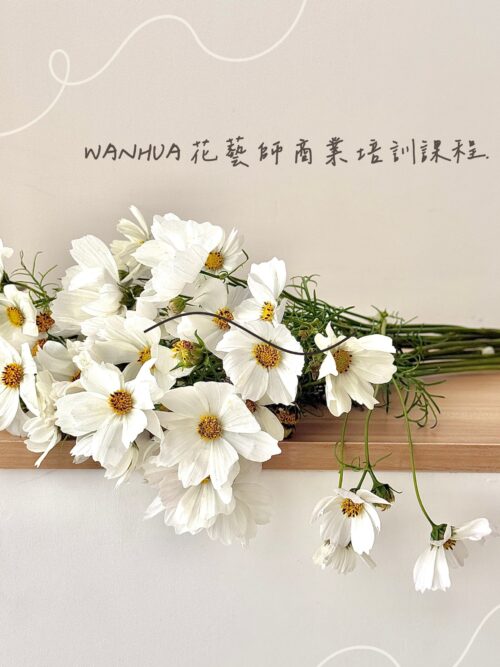 WANHUA花藝師商業培訓課程