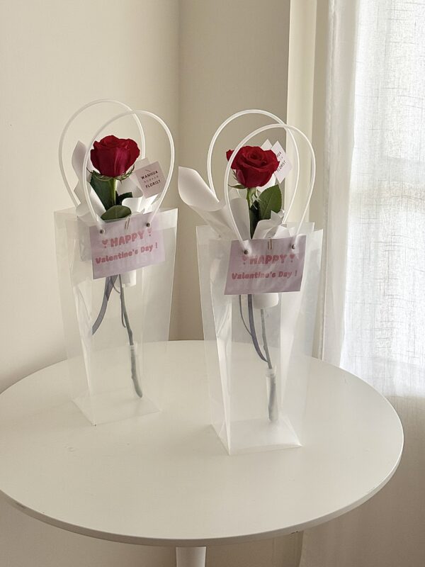 214情人節-單支進口玫瑰花束 / 4色可選