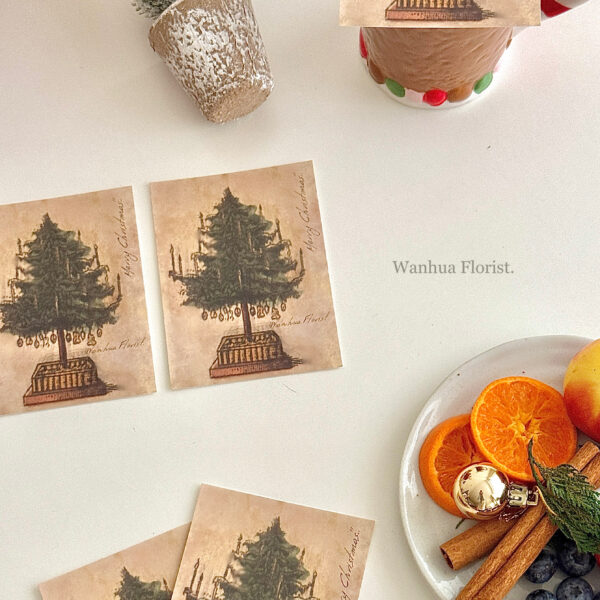 IMG_1368 (聖誕課程)WANHUA新鮮聖誕水晶樹L&聖誕盆栽樹M