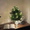 IMG_6322 (成品預購)新鮮雪松聖誕水晶樹L/ 聖誕盆栽樹M