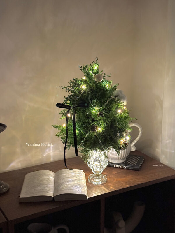 IMG_6322 (成品預購)新鮮雪松聖誕水晶樹L/ 聖誕盆栽樹M