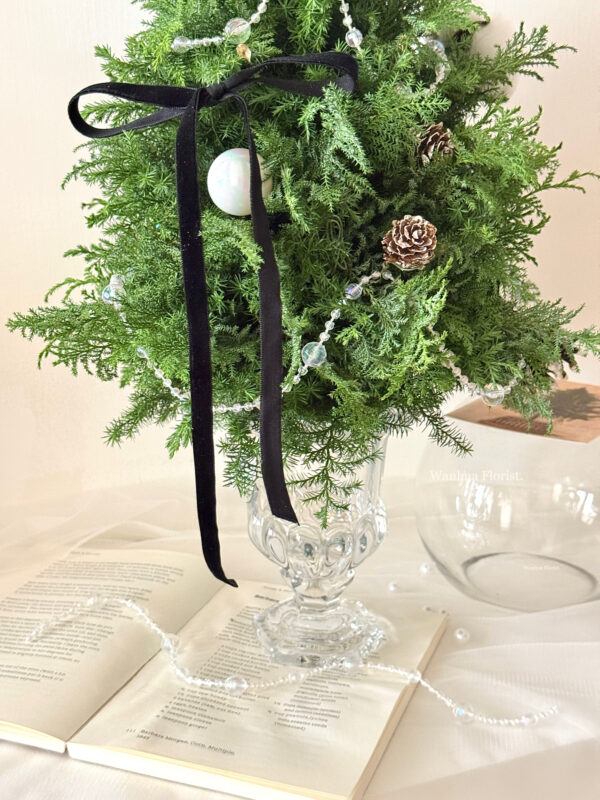 IMG_6323 (成品預購)新鮮雪松聖誕水晶樹L/ 聖誕盆栽樹M