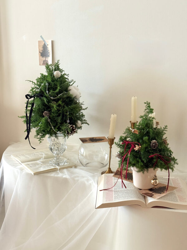 IMG_6324 (聖誕課程)WANHUA新鮮聖誕水晶樹L&聖誕盆栽樹M