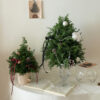 IMG_6325 (成品預購)新鮮雪松聖誕水晶樹L/ 聖誕盆栽樹M
