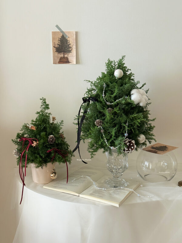 IMG_6325 (成品預購)新鮮雪松聖誕水晶樹L/ 聖誕盆栽樹M