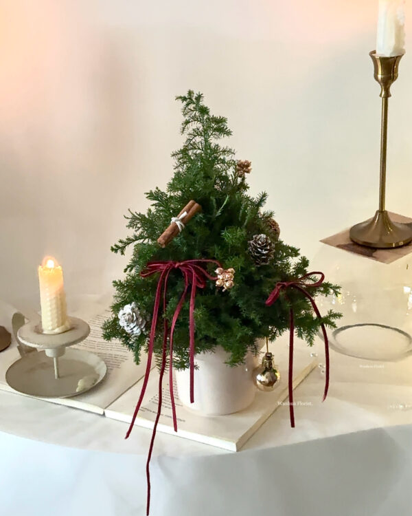 IMG_6329 (成品預購)新鮮雪松聖誕水晶樹L/ 聖誕盆栽樹M