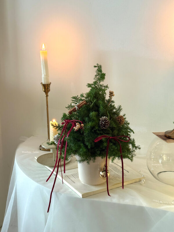 IMG_6330 (聖誕課程)WANHUA新鮮聖誕水晶樹L&聖誕盆栽樹M