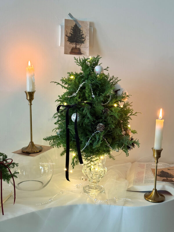 IMG_6331 (成品預購)新鮮雪松聖誕水晶樹L/ 聖誕盆栽樹M