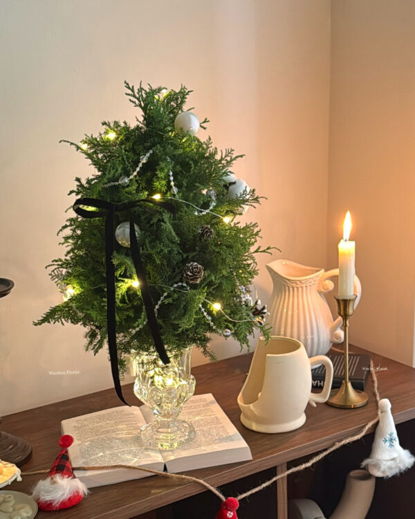 IMG_6332 (成品預購)新鮮雪松聖誕水晶樹L/ 聖誕盆栽樹M