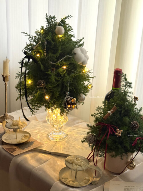 (成品預購)新鮮雪松聖誕水晶樹Ｌ/ 聖誕盆栽樹Ｍ