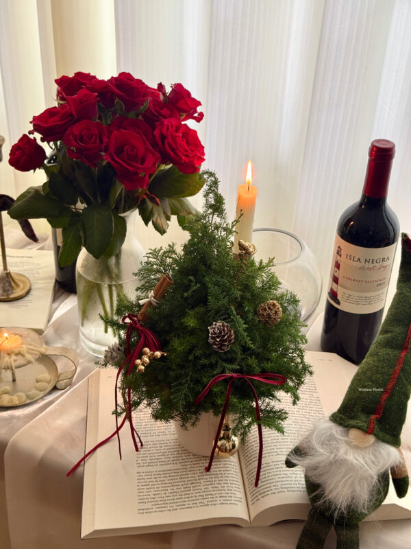 IMG_6337 (成品預購)新鮮雪松聖誕水晶樹L/ 聖誕盆栽樹M