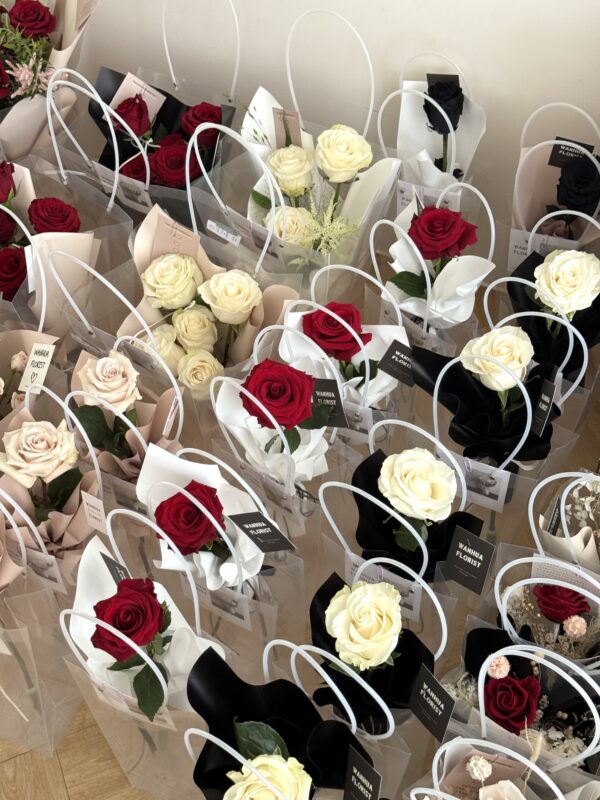 214情人節-單支進口玫瑰花束 / 4色可選