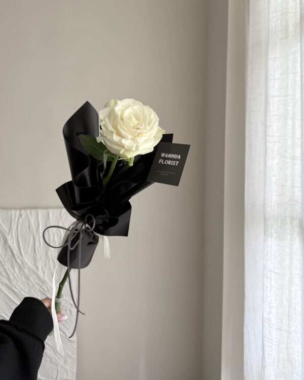 214情人節-單支進口玫瑰花束 / 4色可選