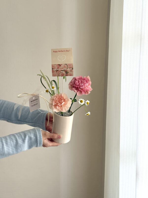 Ｍom-康乃馨寶石小桌花