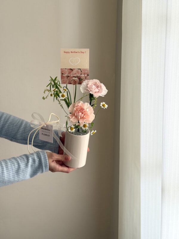 Ｍom-康乃馨寶石小桌花