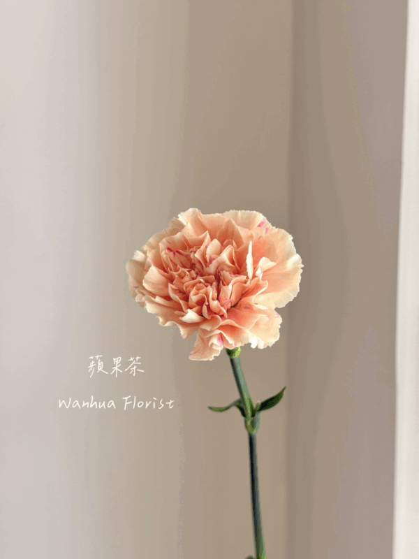 Ｍom 康乃馨簡單提盒花