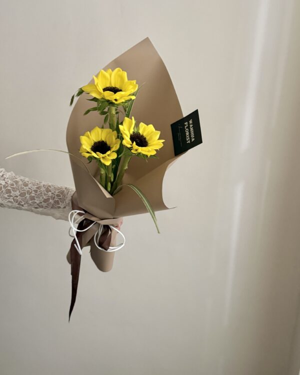 迷你檸檬向日葵 xs / s